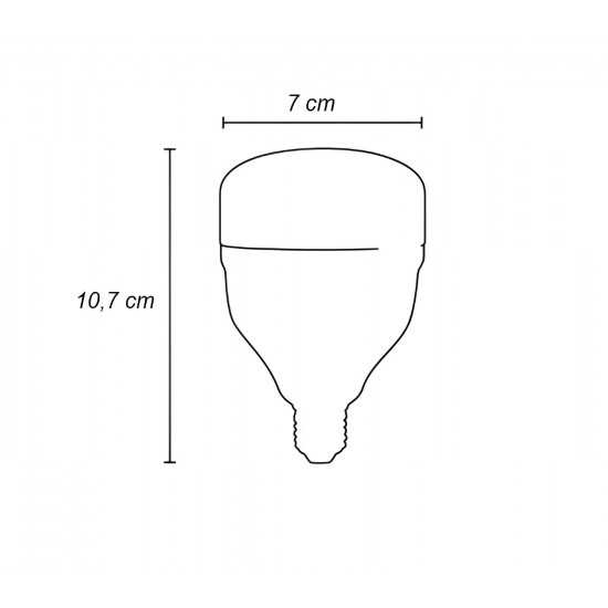 Kit 10 Lampadas LED Alta Potencia Bulbo T 30W Bivolt 4000K